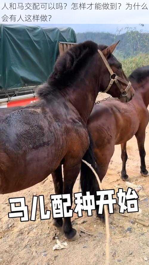 人和马交配可以吗？怎样才能做到？为什么会有人这样做？