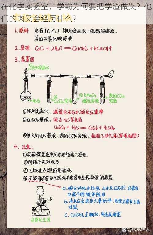 在化学实验室，学霸为何要把学渣做哭？他们的肉又会经历什么？