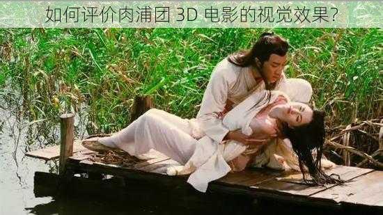 如何评价肉浦团 3D 电影的视觉效果？