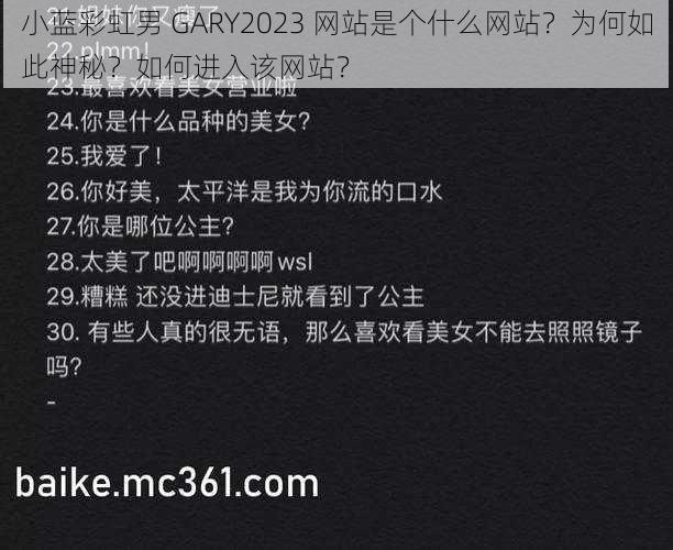 小蓝彩虹男 GARY2023 网站是个什么网站？为何如此神秘？如何进入该网站？