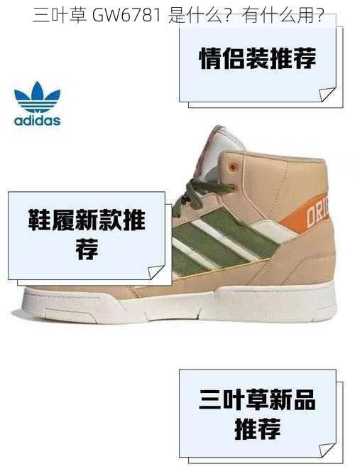 三叶草 GW6781 是什么？有什么用？