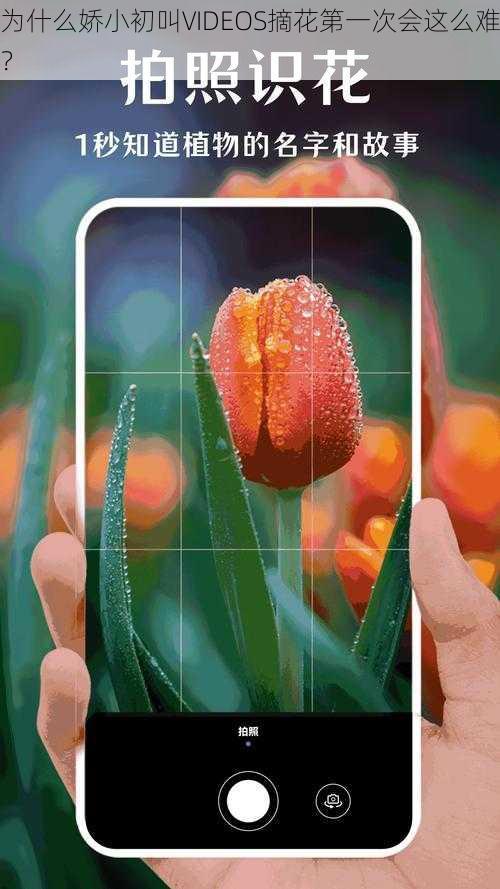 为什么娇小初叫VIDEOS摘花第一次会这么难？