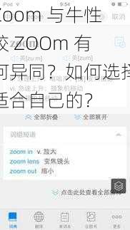 Zoom 与牛性胶 ZOOm 有何异同？如何选择适合自己的？