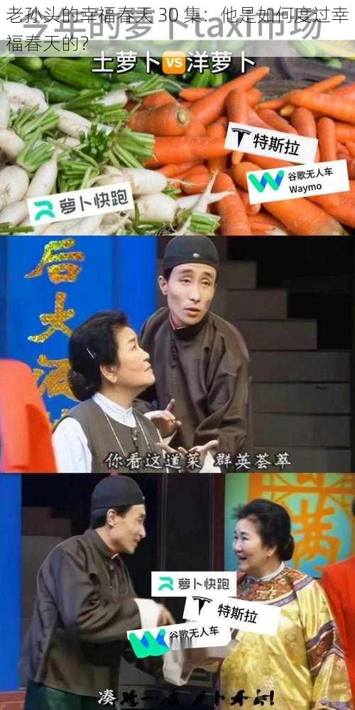 老孙头的幸福春天 30 集：他是如何度过幸福春天的？