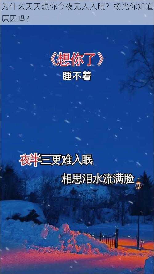 为什么天天想你今夜无人入眠？杨光你知道原因吗？