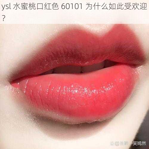 ysl 水蜜桃口红色 60101 为什么如此受欢迎？