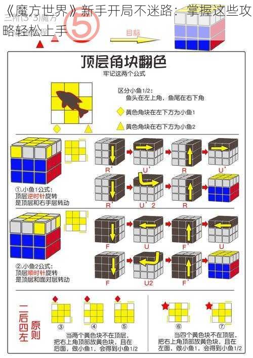 《魔方世界》新手开局不迷路：掌握这些攻略轻松上手