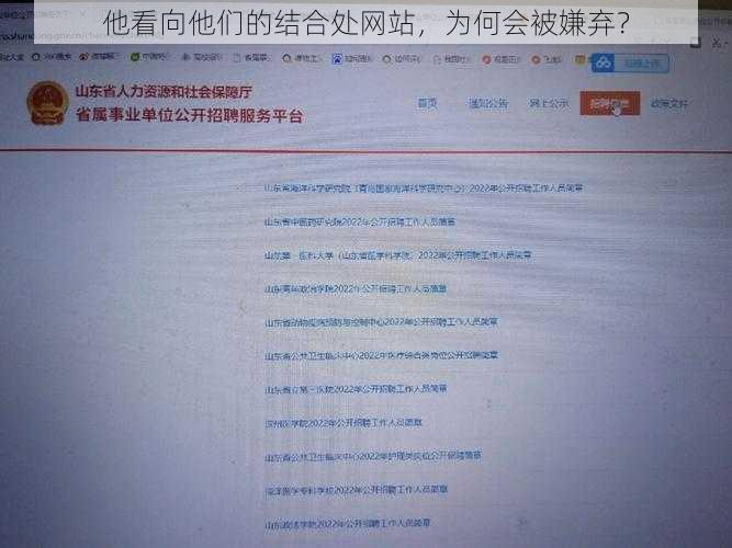 他看向他们的结合处网站，为何会被嫌弃？
