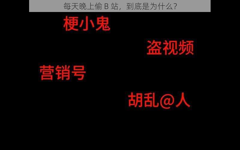 每天晚上偷 B 站，到底是为什么？