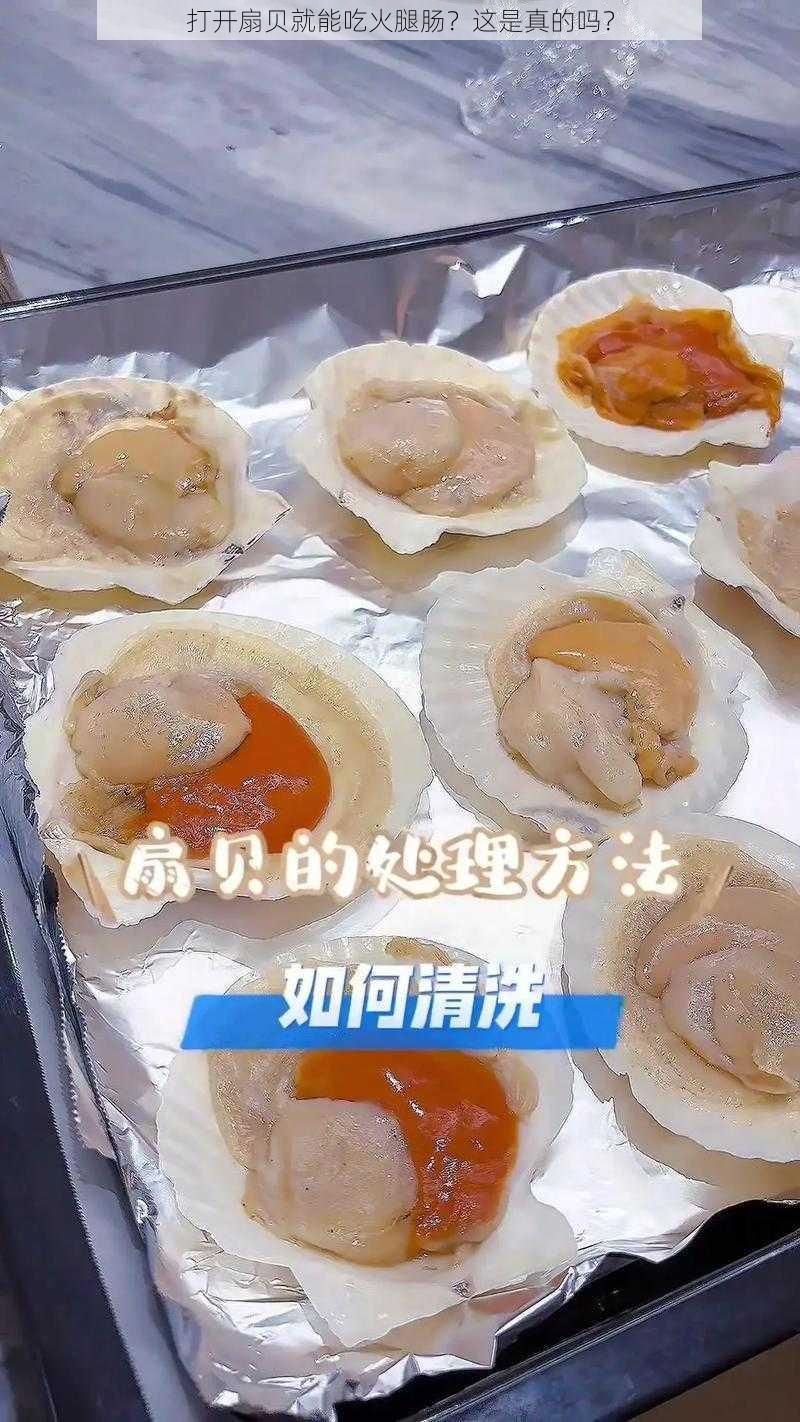 打开扇贝就能吃火腿肠？这是真的吗？