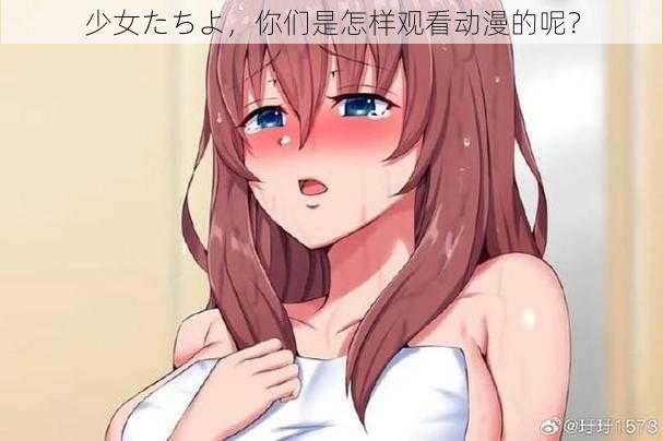 少女たちよ，你们是怎样观看动漫的呢？