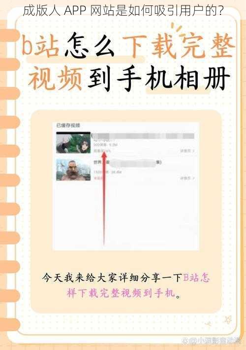 成版人 APP 网站是如何吸引用户的？