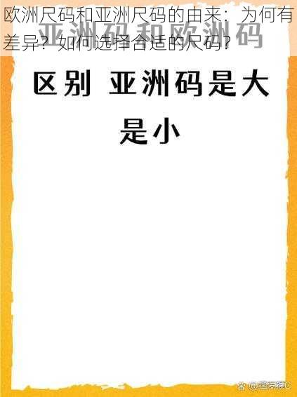 欧洲尺码和亚洲尺码的由来：为何有差异？如何选择合适的尺码？