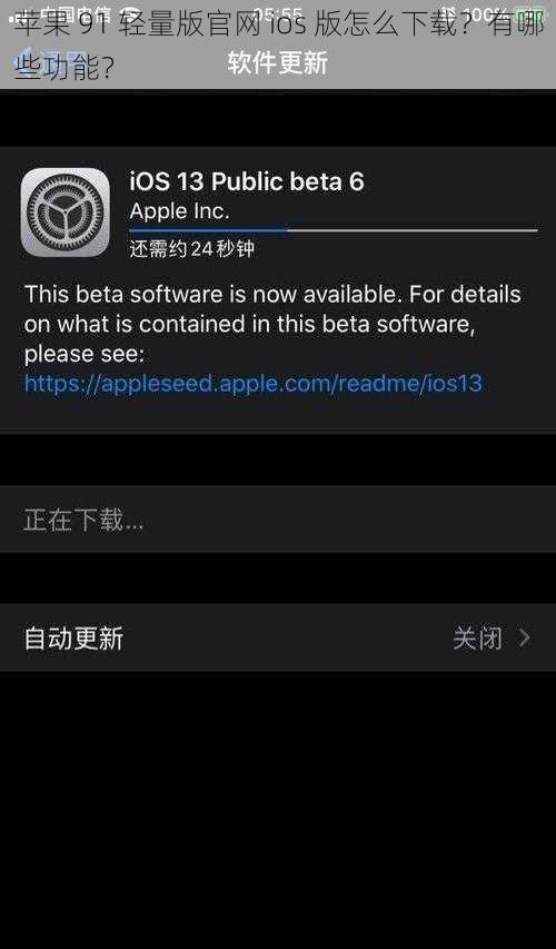 苹果 91 轻量版官网 ios 版怎么下载？有哪些功能？