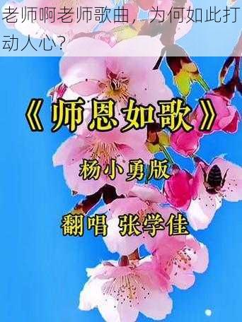 老师啊老师歌曲，为何如此打动人心？