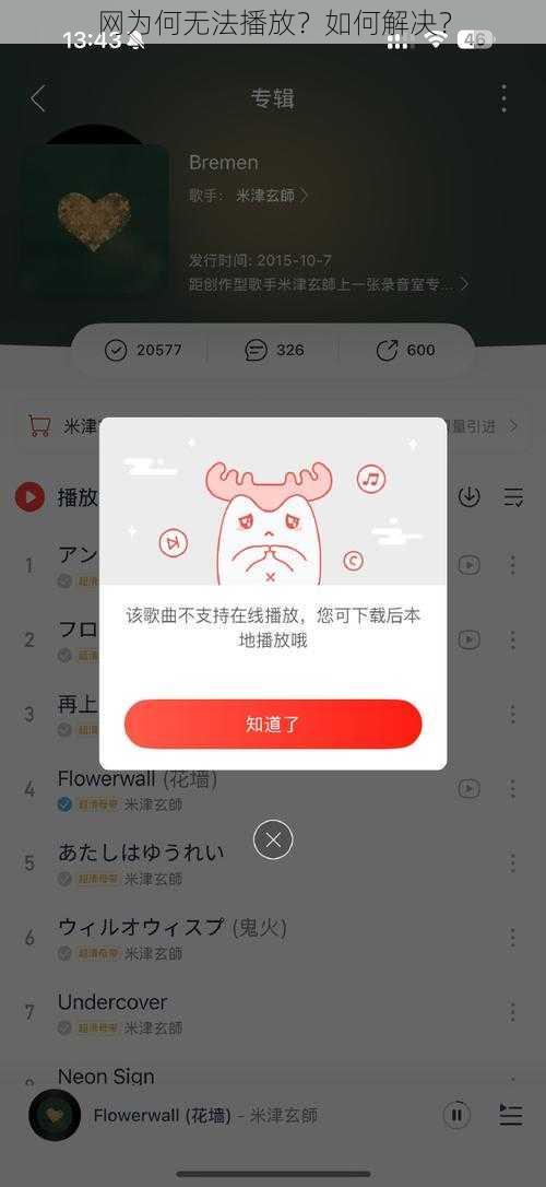 网为何无法播放？如何解决？