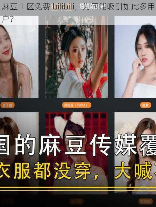 麻豆 1 区免费 bilibili，为何能吸引如此多用户？