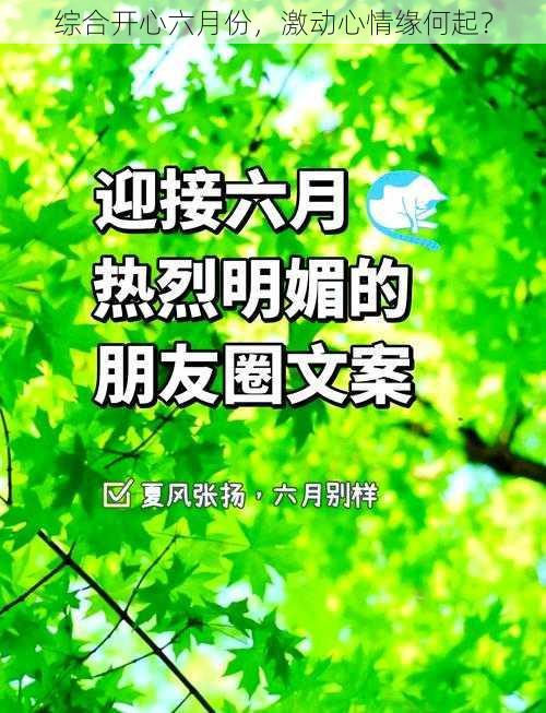 综合开心六月份，激动心情缘何起？