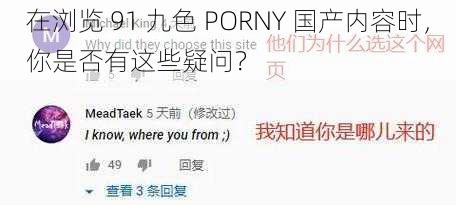 在浏览 91 九色 PORNY 国产内容时，你是否有这些疑问？