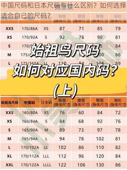 中国尺码和日本尺码有什么区别？如何选择适合自己的尺码？