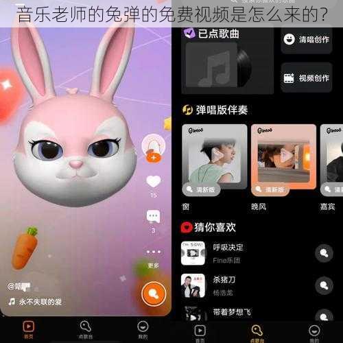 音乐老师的兔弹的免费视频是怎么来的？