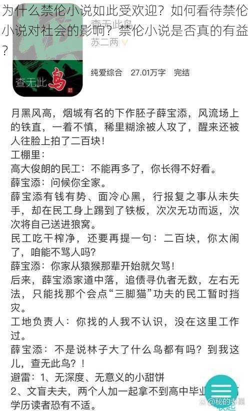 为什么禁伦小说如此受欢迎？如何看待禁伦小说对社会的影响？禁伦小说是否真的有益？