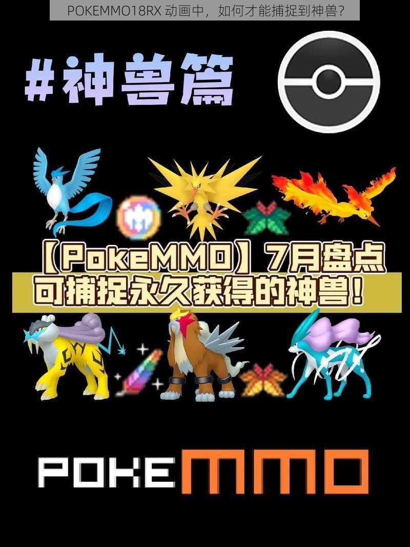 POKEMMO18RX 动画中，如何才能捕捉到神兽？