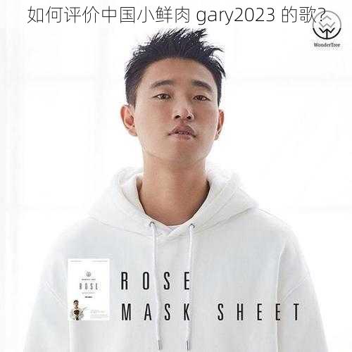 如何评价中国小鲜肉 gary2023 的歌？