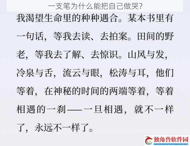 一支笔为什么能把自己做哭？