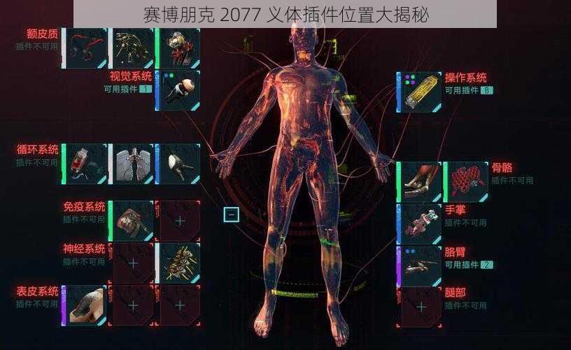 赛博朋克 2077 义体插件位置大揭秘