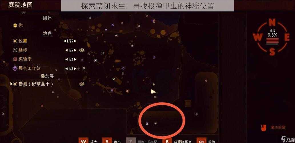 探索禁闭求生：寻找投弹甲虫的神秘位置